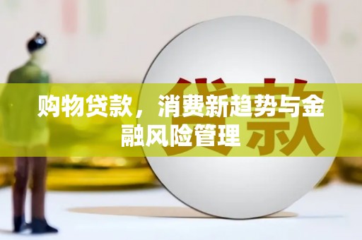 甘井子购物贷款，消费新趋势与金融风险管理
