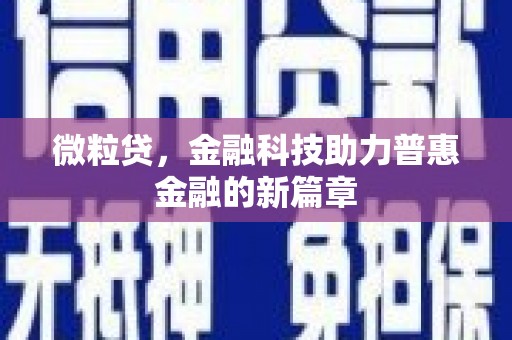 甘井子微粒贷，金融科技助力普惠金融的新篇章