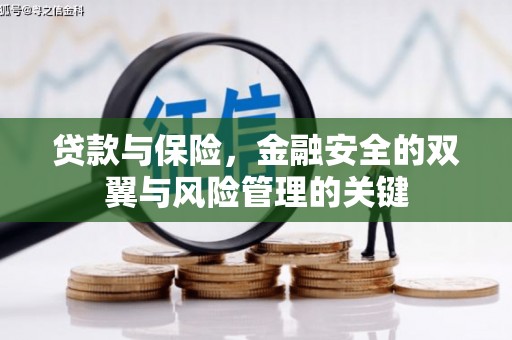 甘井子贷款与保险，金融安全的双翼与风险管理的关键