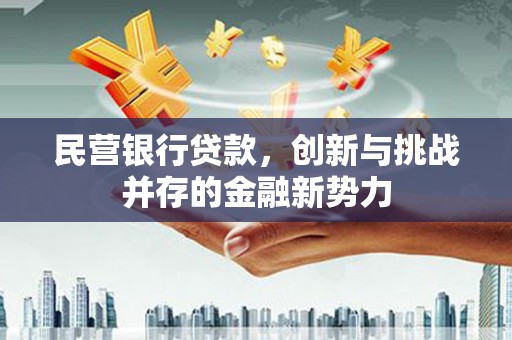 甘井子民营银行贷款，创新与挑战并存的金融新势力