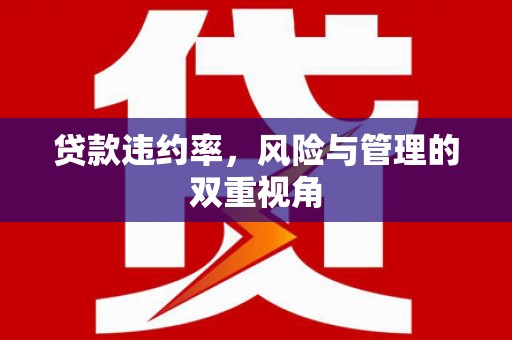 甘井子贷款违约率，风险与管理的双重视角