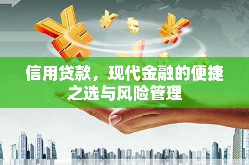 甘井子信用贷款，现代金融的便捷之选与风险管理