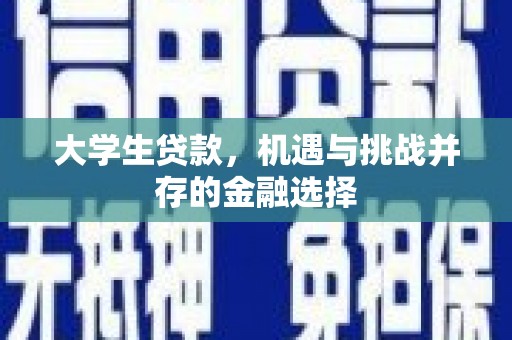 甘井子大学生贷款，机遇与挑战并存的金融选择
