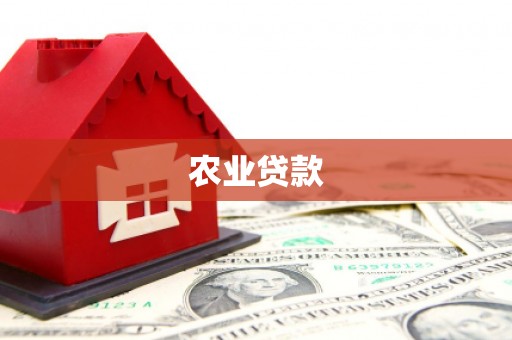 甘井子农业贷款