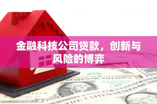 甘井子金融科技公司贷款，创新与风险的博弈