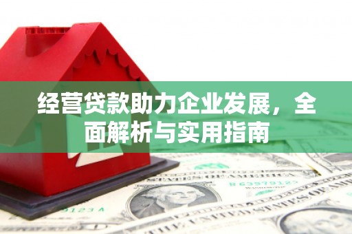 甘井子经营贷款助力企业发展，全面解析与实用指南