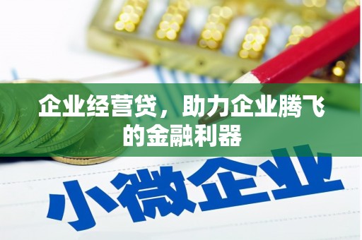 甘井子企业经营贷，助力企业腾飞的金融利器