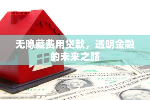 甘井子无隐藏费用贷款，透明金融的未来之路