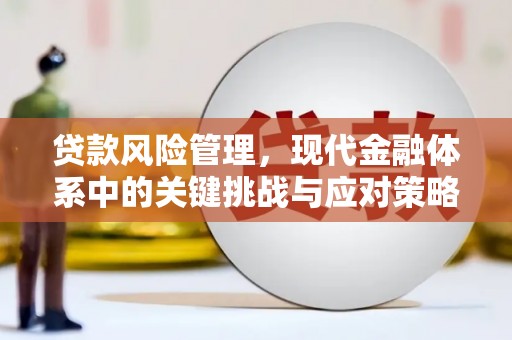 甘井子贷款风险管理，现代金融体系中的关键挑战与应对策略