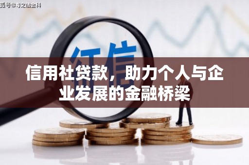 甘井子信用社贷款，助力个人与企业发展的金融桥梁