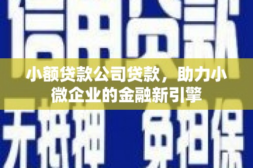 甘井子小额贷款公司贷款，助力小微企业的金融新引擎