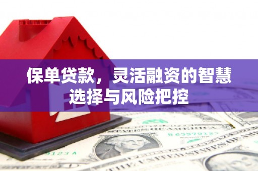 甘井子保单贷款，灵活融资的智慧选择与风险把控