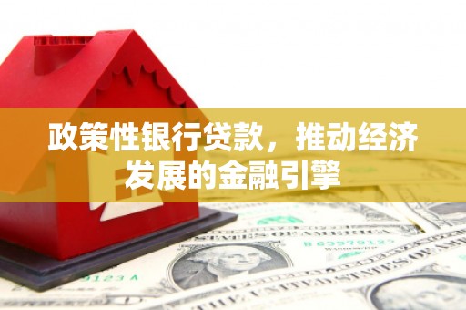 甘井子政策性银行贷款，推动经济发展的金融引擎