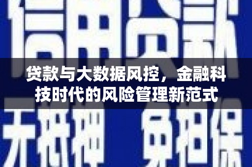 甘井子贷款与大数据风控，金融科技时代的风险管理新范式