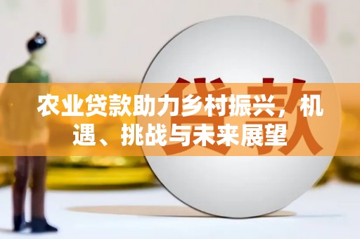 甘井子农业贷款助力乡村振兴，机遇、挑战与未来展望
