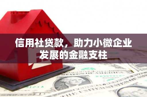 甘井子信用社贷款，助力小微企业发展的金融支柱