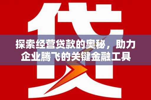 甘井子探索经营贷款的奥秘，助力企业腾飞的关键金融工具