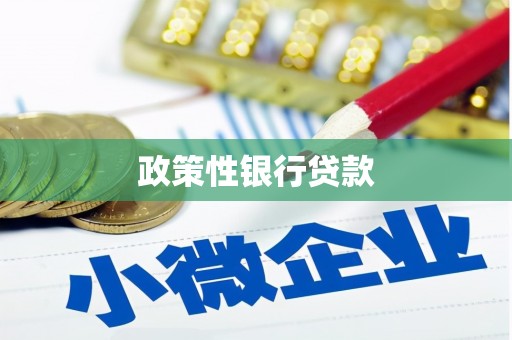 甘井子政策性银行贷款