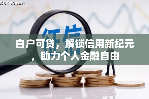 甘井子白户可贷，解锁信用新纪元，助力个人金融自由