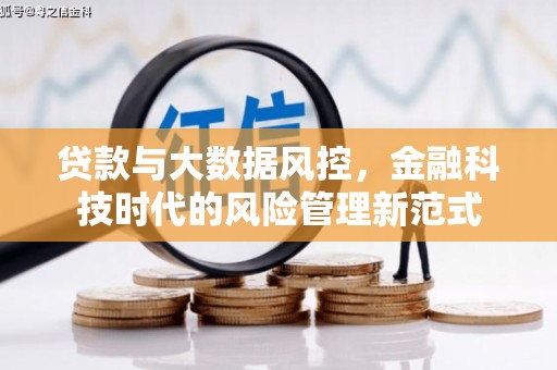 甘井子贷款与大数据风控，金融科技时代的风险管理新范式