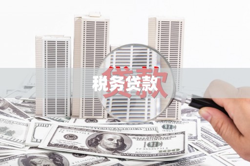 甘井子税务贷款