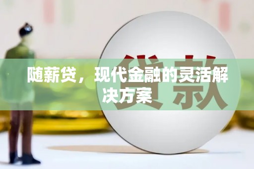 甘井子随薪贷，现代金融的灵活解决方案