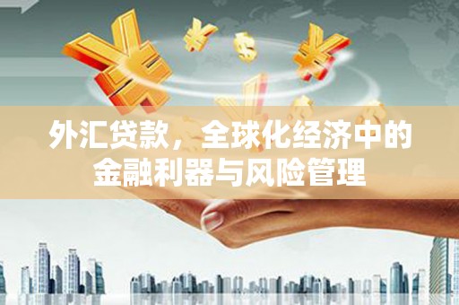 甘井子外汇贷款，全球化经济中的金融利器与风险管理