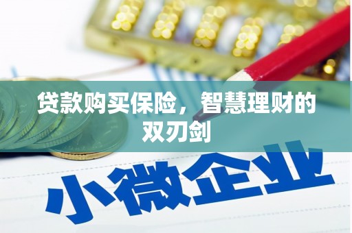 甘井子贷款购买保险，智慧理财的双刃剑