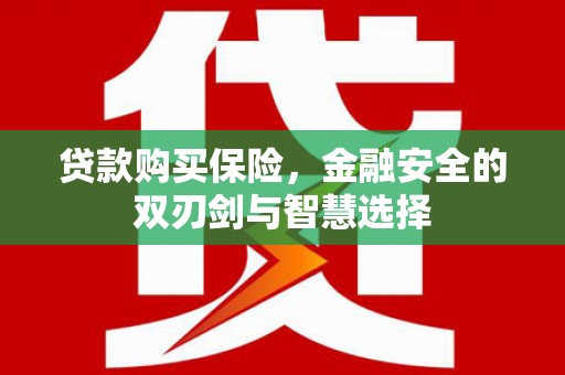 甘井子贷款购买保险，金融安全的双刃剑与智慧选择