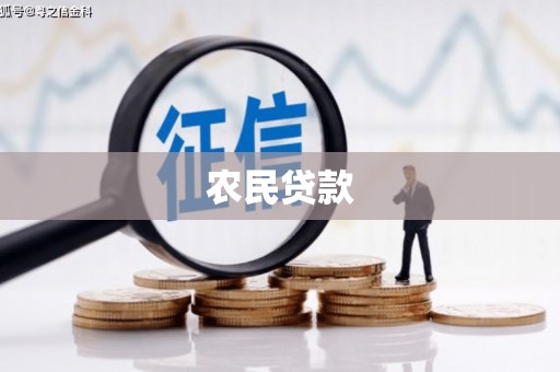 甘井子农民贷款