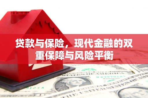 甘井子贷款与保险，现代金融的双重保障与风险平衡