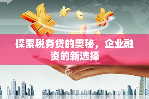 甘井子探索税务贷的奥秘，企业融资的新选择