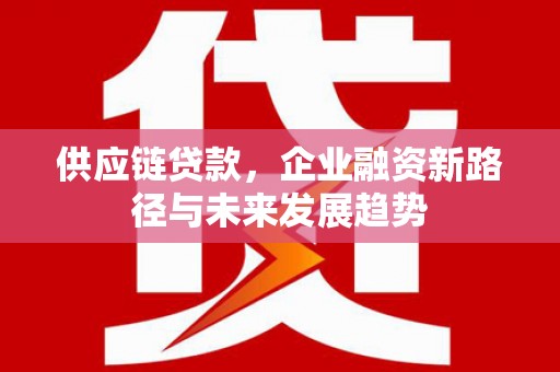 甘井子供应链贷款，企业融资新路径与未来发展趋势