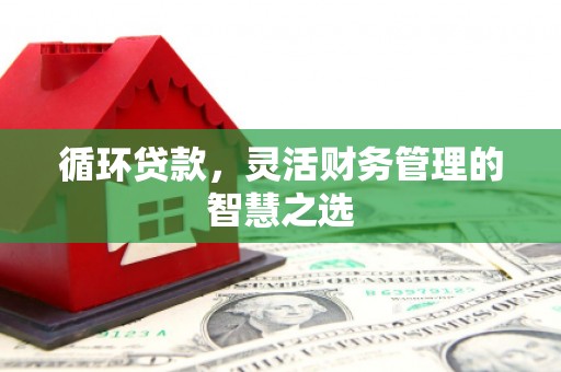 甘井子循环贷款，灵活财务管理的智慧之选