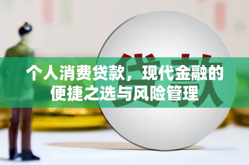 甘井子个人消费贷款，现代金融的便捷之选与风险管理