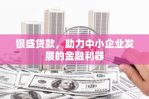 甘井子银盛贷款，助力中小企业发展的金融利器