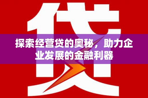 甘井子探索经营贷的奥秘，助力企业发展的金融利器