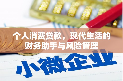甘井子个人消费贷款，现代生活的财务助手与风险管理