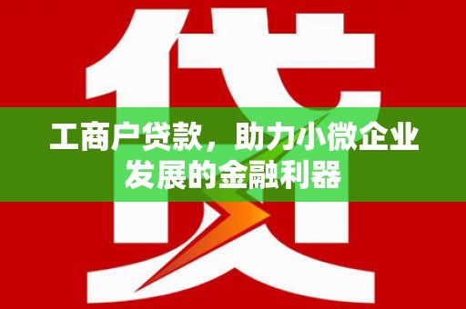 甘井子工商户贷款，助力小微企业发展的金融利器