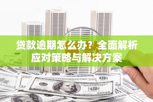 甘井子贷款逾期怎么办？全面解析应对策略与解决方案