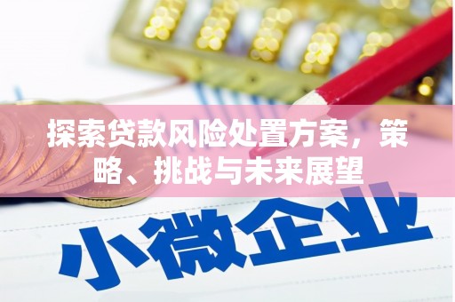 甘井子探索贷款风险处置方案，策略、挑战与未来展望