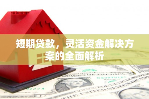 甘井子短期贷款，灵活资金解决方案的全面解析