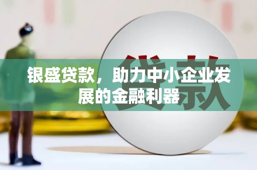 甘井子银盛贷款，助力中小企业发展的金融利器