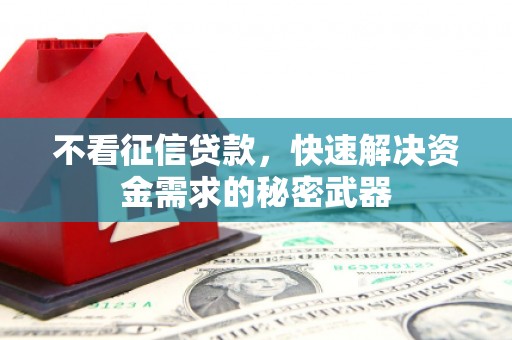 甘井子不看征信贷款，快速解决资金需求的秘密武器
