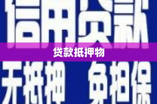 甘井子贷款抵押物
