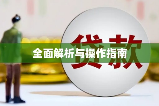 甘井子全面解析与操作指南