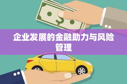 甘井子企业发展的金融助力与风险管理