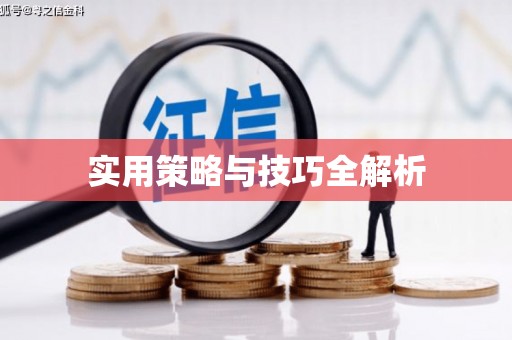 甘井子实用策略与技巧全解析