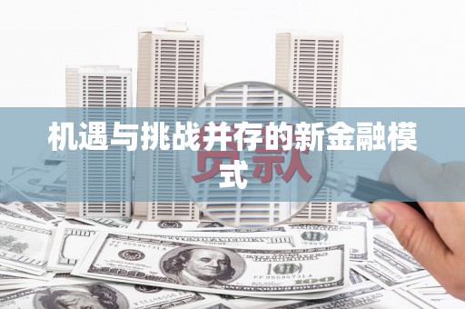 甘井子机遇与挑战并存的新金融模式
