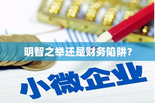 甘井子明智之举还是财务陷阱？